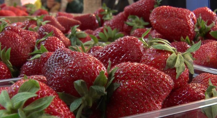 Keresik a hazai, termelői gyümölcsöt a kanizsaiak