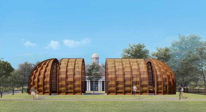 Egy fiatal gingko fa köré épül az idei Serpentine pavilon