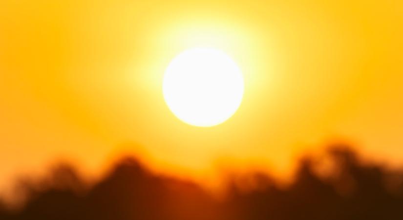 Hőstressz az állattartásban? Így védekezhet ellene hatékonyan és gazdaságosan!