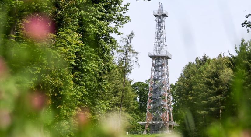 Bezárt a zalai kilátó, most megtudhatja az okát