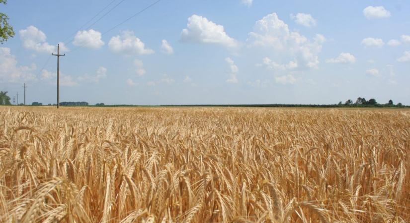 Agrárminiszter: A gazdák mindig elégedetlenek