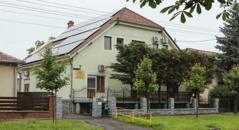 Otthonra leltek a Fészekben