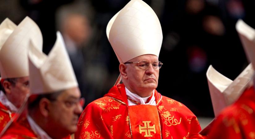 Erdő Péter szerint XIV. Leó pápa nem sztártípus