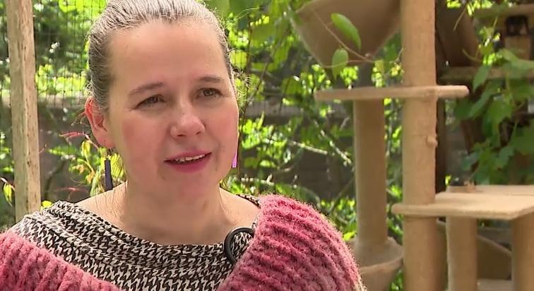 Radar – Cicamenhely és alkotóműhely - Veronika világa  videó