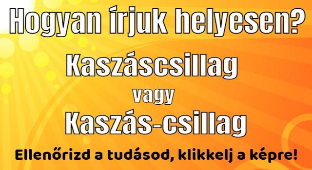 Napi helyesírás feladat: Tudod hogyan írjuk helyesen?