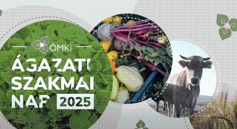 Friss kiskereskedelmi elemzés készült az ökoszektorról