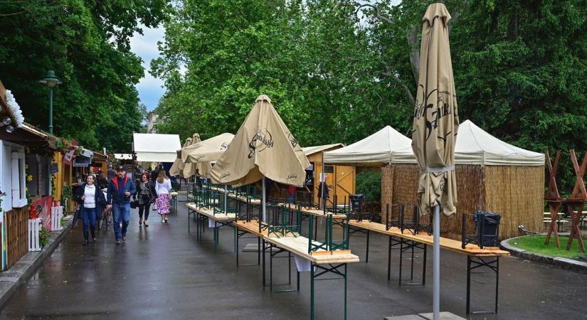 Borfesztivál a Széchenyi téren, Dr. Csernus Imre előadása az IH Rendezvényközpontban