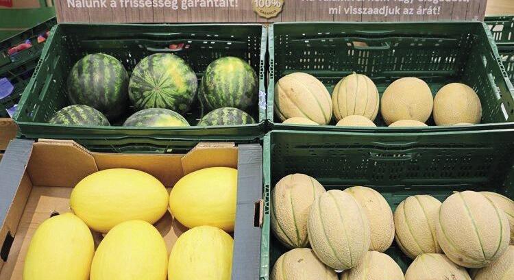 Már javában tart a dinnyeszezon a Tescónál