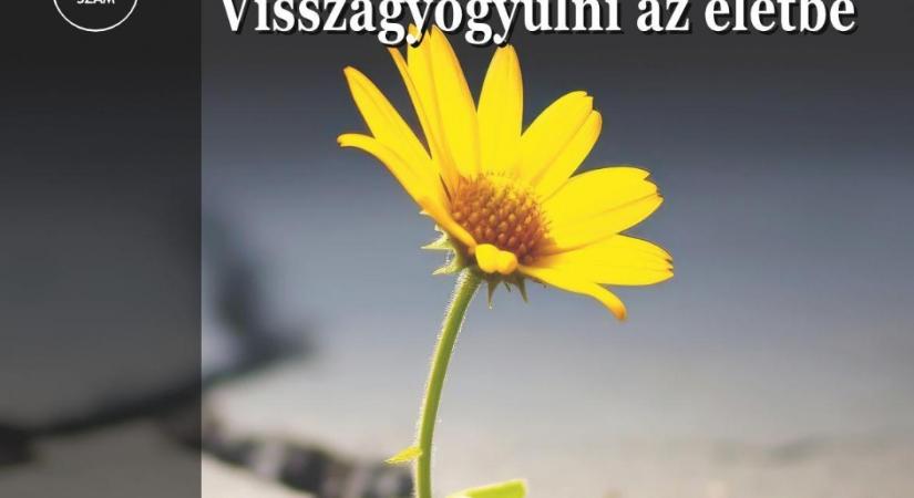Onkológiai rehabilitáció: vissza kell gyógyulni az életbe