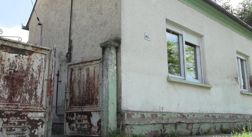ALAUTI: A munka világában nincs elegendő lehetőség az autista fiataloknak