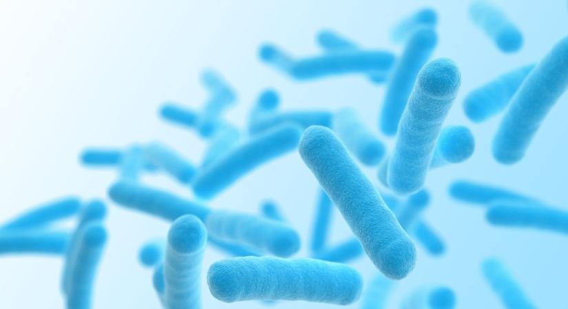 Bioakkumulátor, mely baktériumokkal működik és önmagát tölti