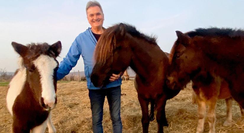 Világkonferenciát szerveznek a tatai izlandilovasok, de előbb a közgyűlés jön