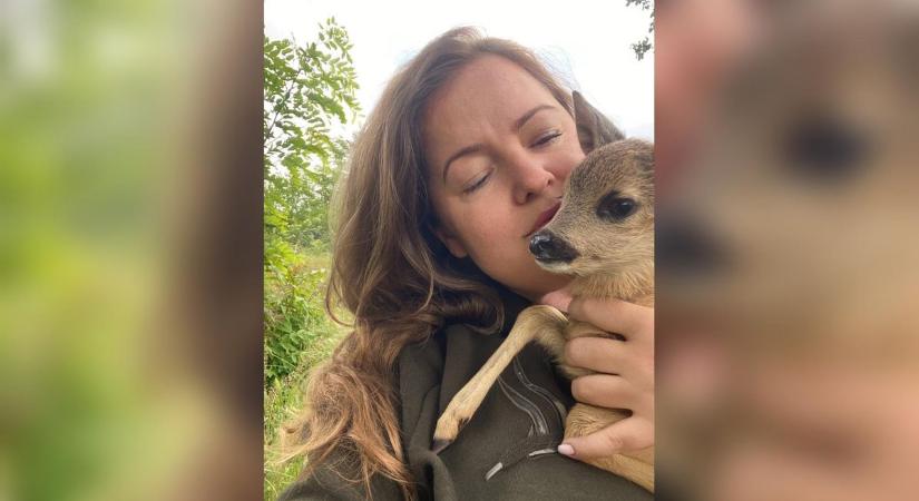 Ludmilla, az árva őzgida új otthonra talált a Vad-kert farm kapujában, de gondozói teljesen kiakadtak – videóval