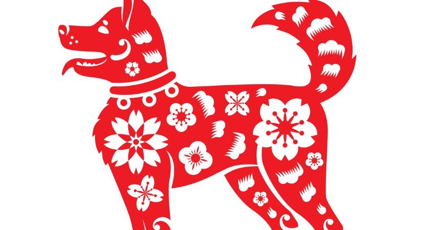 Kínai horoszkóp-előrejelzés júniusra a Kutyáknak: nehéz erőpróbák elé állít a családi életed és a munkahelyed, sőt még az egészségügyi állapotodról is kiderülhet sok minden