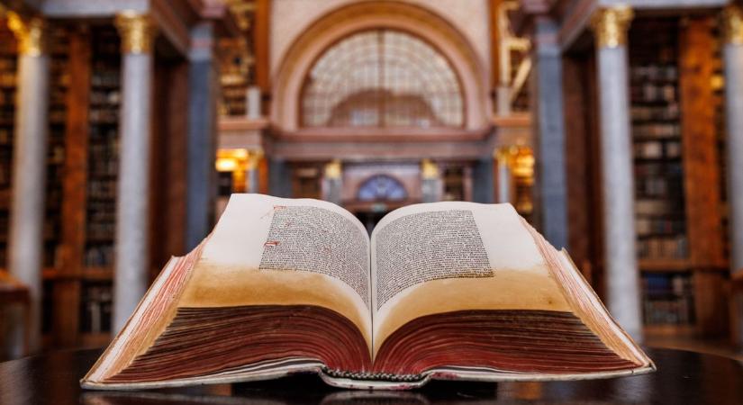Döbbenetes pusztítás az apátságban – Invázió miatt hét hónapos zárlat (galéria)