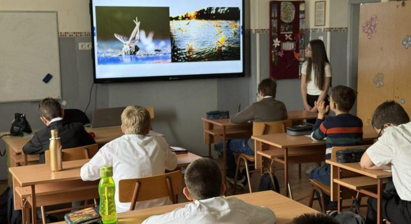 Egy híján száz diák mérte össze természettudományos ismereteit