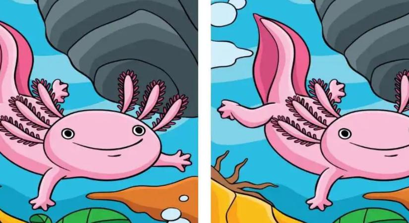 Fejtörő: nagyon jó a látásod, ha 10 másodperc alatt megtalálod a 3 különbséget ebben a víz alatti jelentben