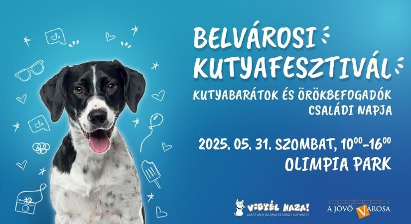 Írd be a naptárba: május 31-én jön a Belvárosi Kutyafesztivál!