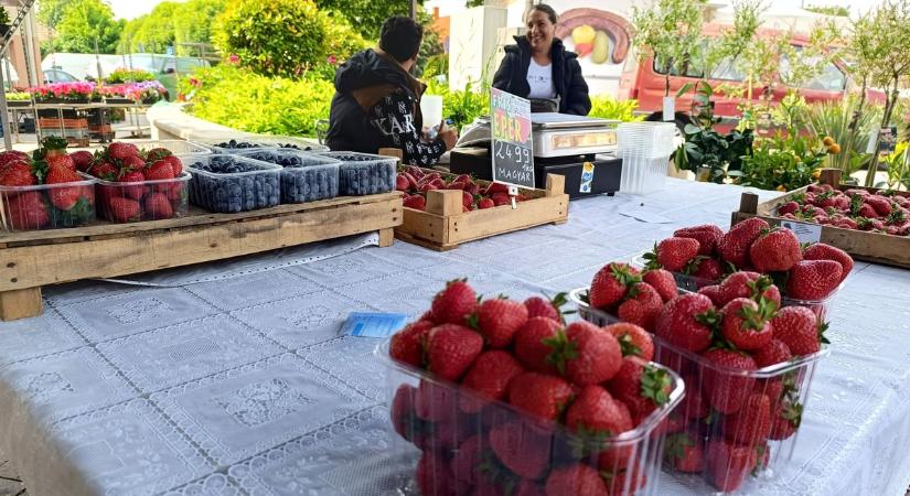 Eperdömping a mosoni piacon, de a szedd magad akciók is beleszólnak az árakba - képgaléria