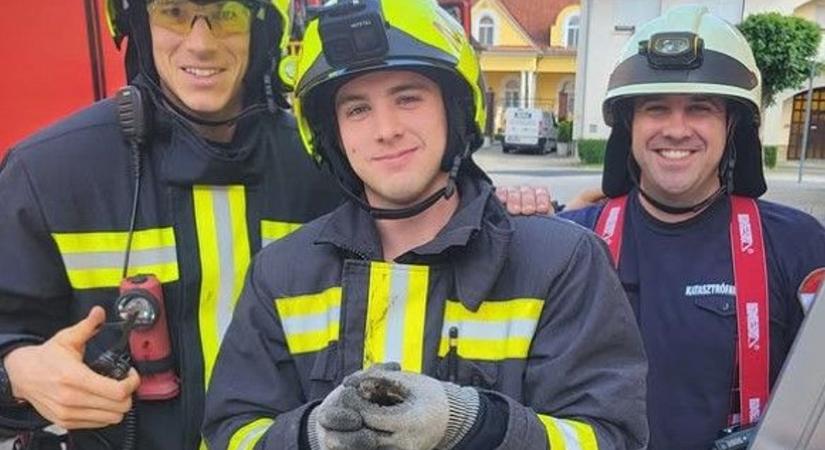 Hét méter magasban akadt életet mentettek a tűzoltók