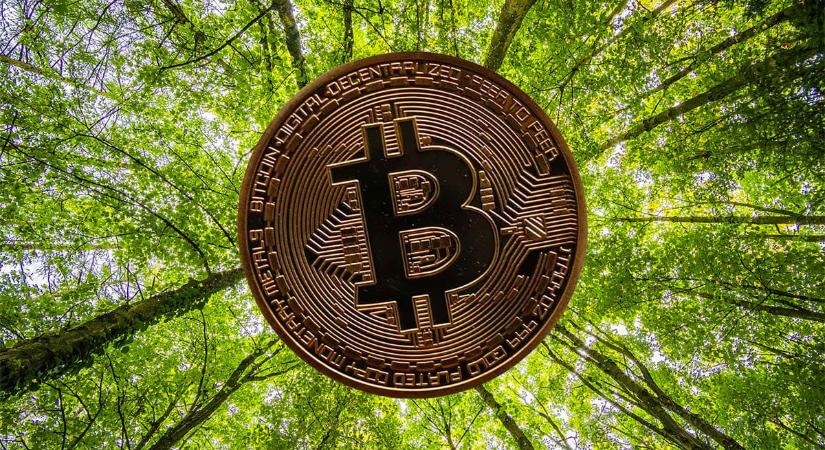 A Strike alapítója 1 millió bitcoin felvásárlását tervezi