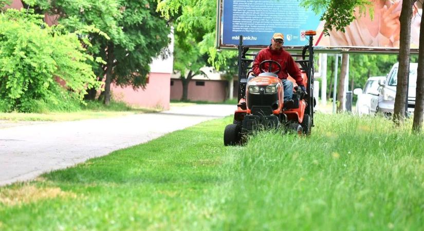 Teljes gépkapacitással járják Szolnok utcáit – nyomukban mindenki elégedett