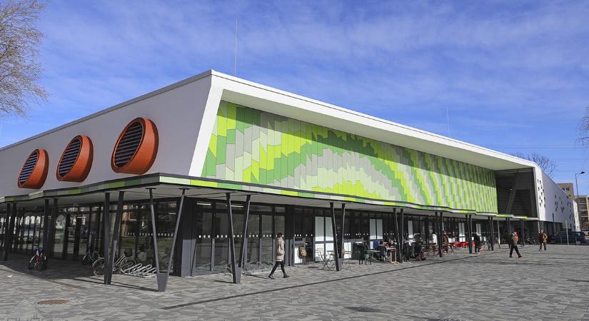 Zöldségdömping és újburgonya a piacon