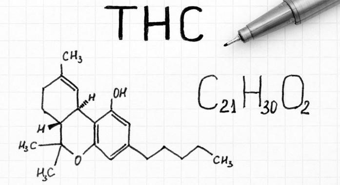 THC a szervezetben: kiürülés, lebomlás és egészségügyi szempontok