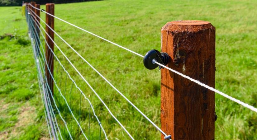 Tánczos Barna: sikerült kimozdítani a holtpontról a villanypásztorprogramot