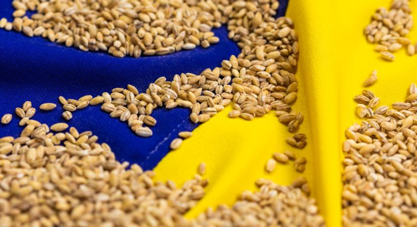Újra kell terveznie az ukrán mezőgazdaságnak: más világ jön júniustól