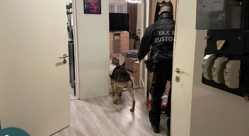 Strómanok, luxus és hárommilliárdnyi áfa: így csapott le a NAV