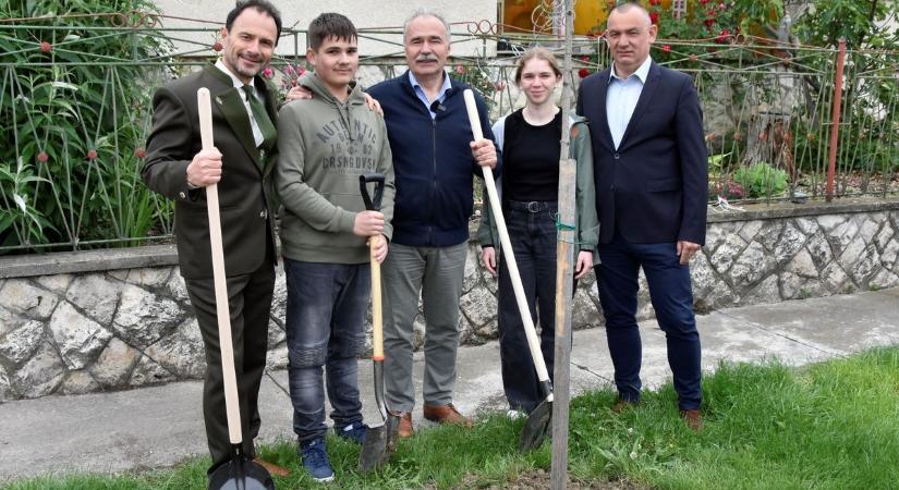 15 facsemetét ültettek el a ballagó diákok emlékére Darnózselin - fotók