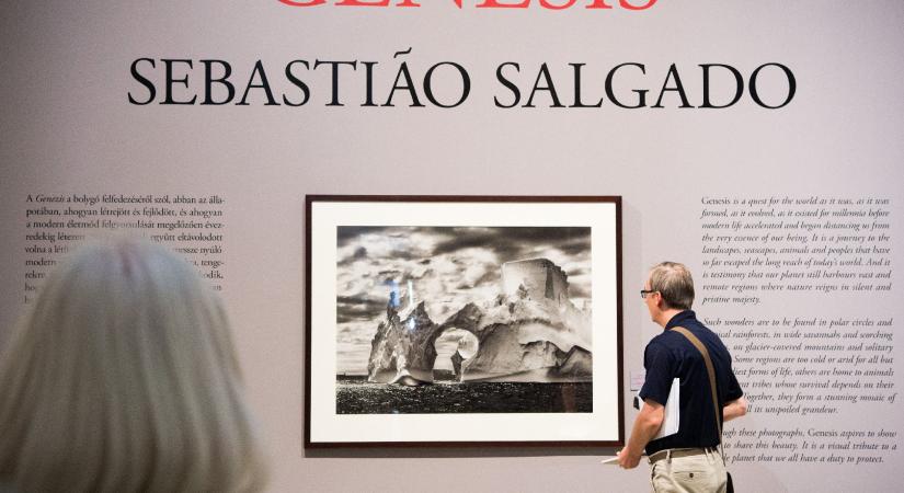 Elhunyt Sebastião Salgado brazil fotóművész