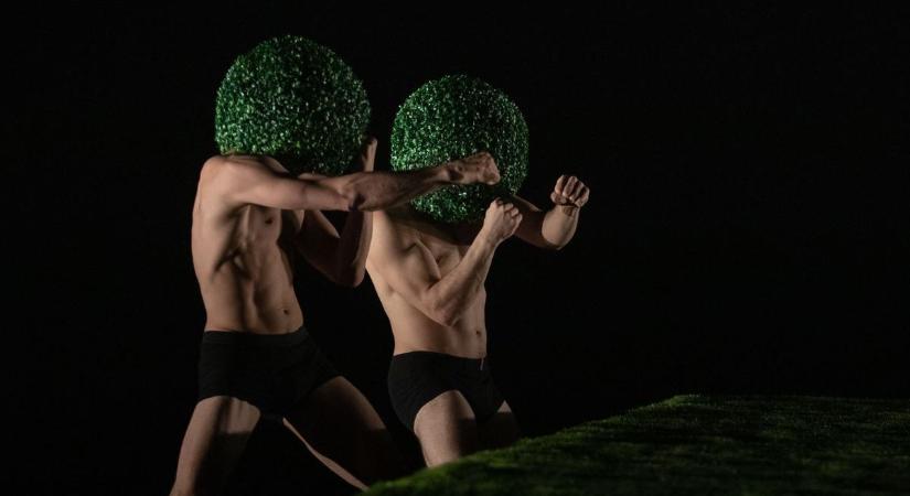 Mozgásba lendül a kortárs tánc: jön a Café de la Danse Kápolnásnyékre