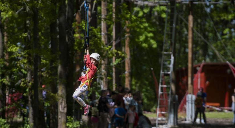 Varázsló, drónépítő és brókertábor is választható