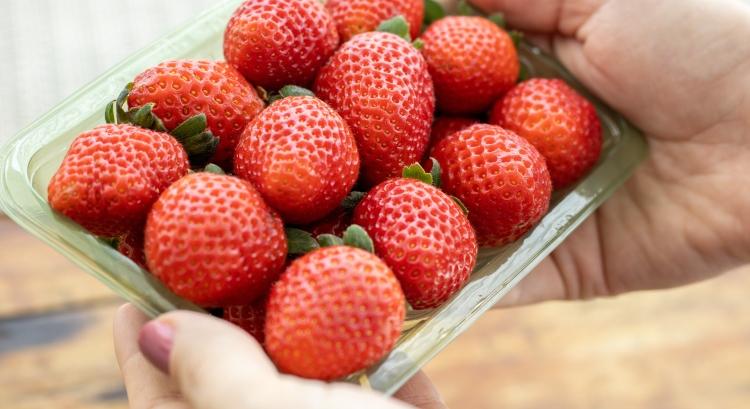 Újabb próbálkozás a hagyományos műanyag kilistázására