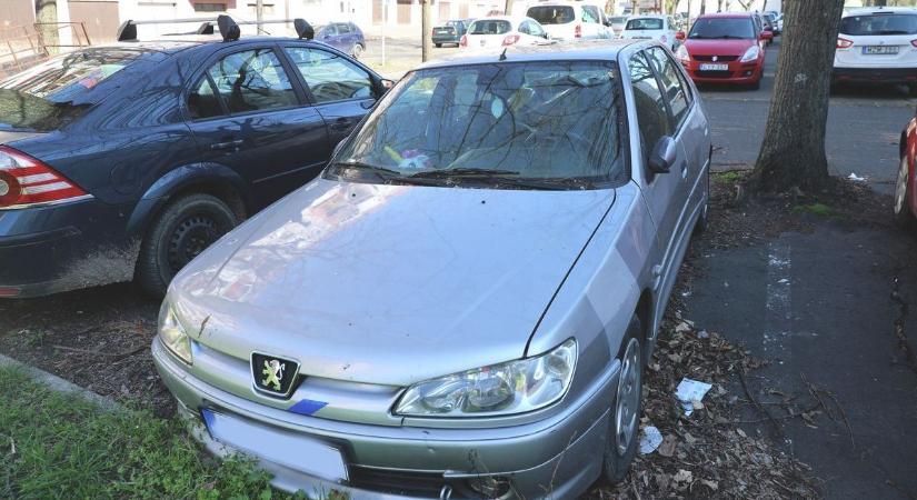 Csak a roncsokkal foglalkozik a közterület-felügyelet