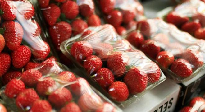 Milyen csomagolást válasszunk, ha élelmiszerekkel dolgozunk?