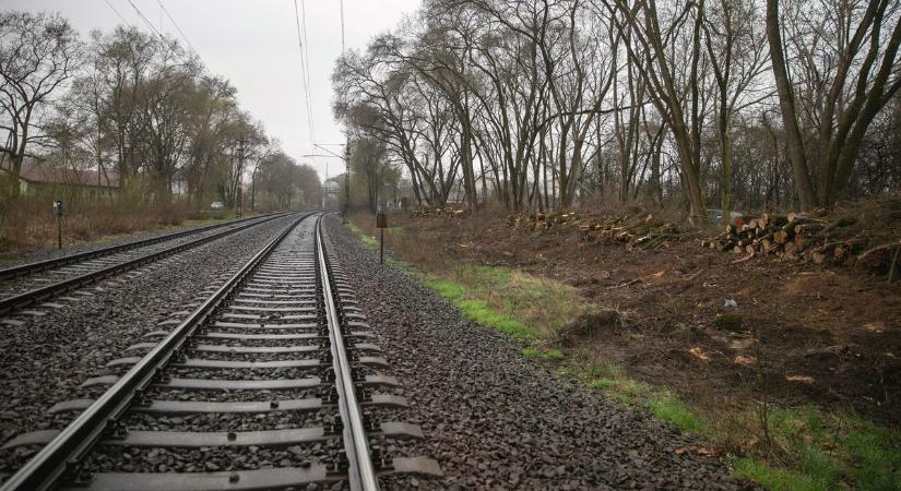 Nyolcan meghaltak és rengetegen megsérültek: döbbenetes vonatbaleset történt Püspökladánynál