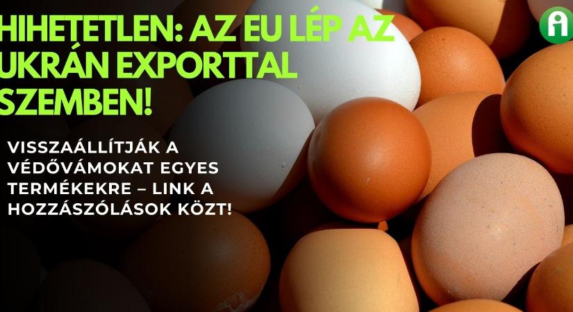 Brüsszel visszahúzza a féket: új korlátok az ukrán agrárexportra