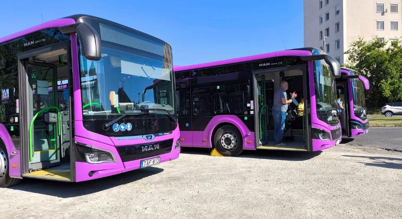 Hétfőtől változás a V-Busznál: érintett a 42-es és a 43-as járat is