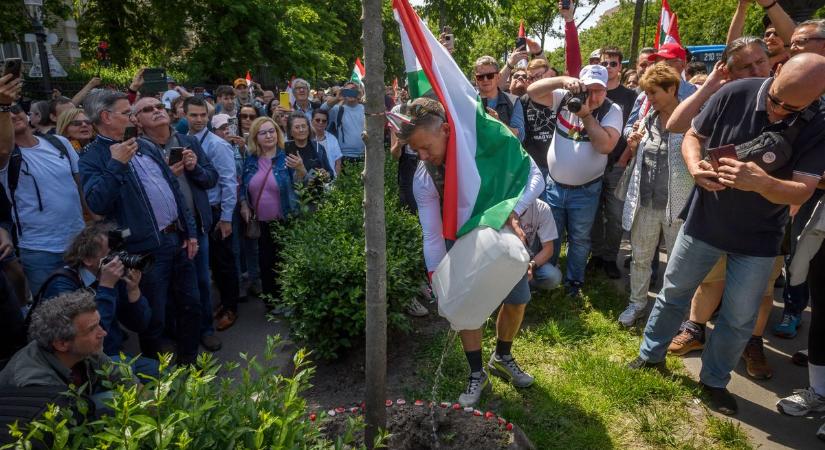 EP-képviselő: Érthetetlen és indokolatlan, hogy Magyar Péter az RMDSZ-t támadja!