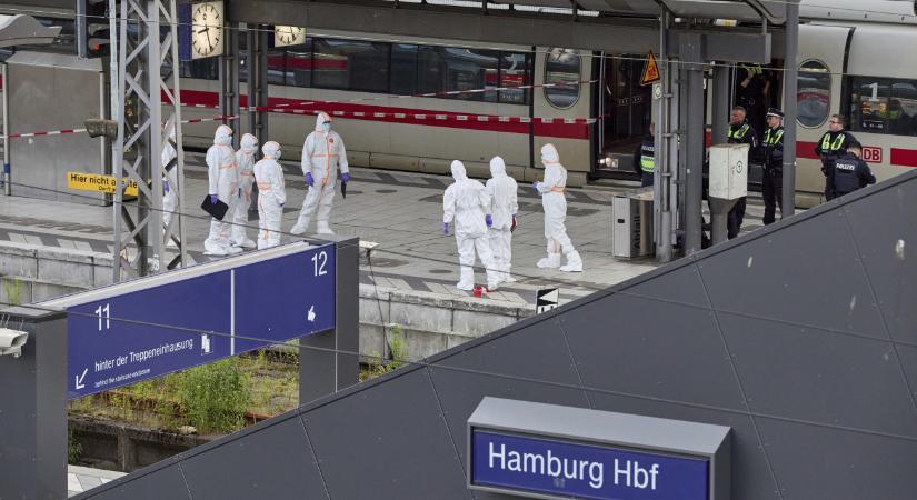 Kiengedték a pszichiátriáról a hamburgi késelőt, másnap elkövette rémtettét