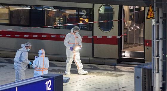 Hamburgi késelés: a támadás előtti napon engedték ki a pszichiátriáról az elkövetőt
