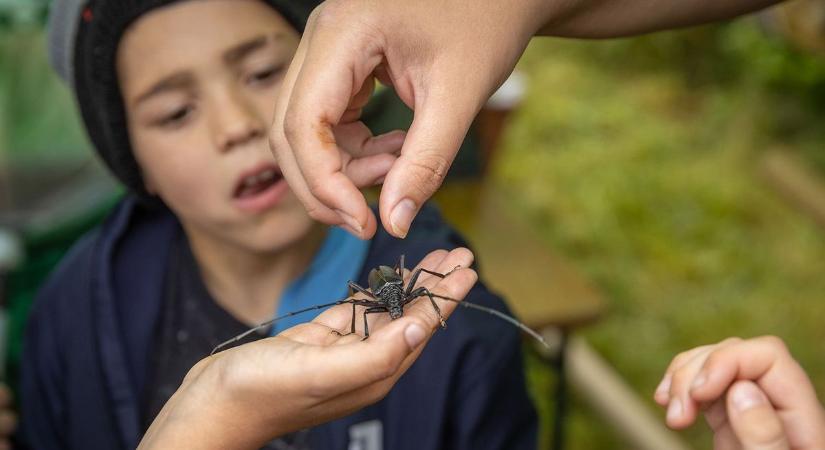 Így telt a Biológiai Sokféleség Napja a Csordalegelőn