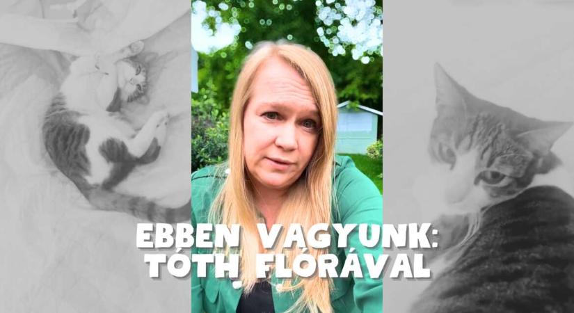 Tóth Flóra: Ezért ivartalanítsd a macskád – Ebben vagyunk