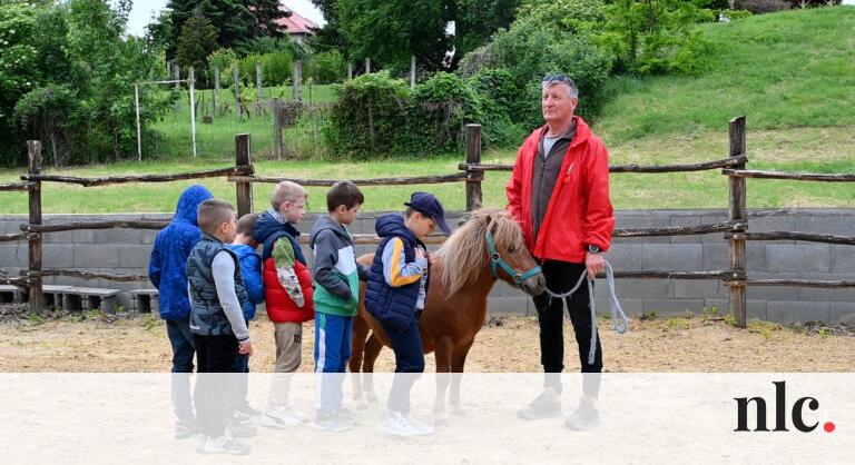 Lovak tanítják a matekot a bükkábrányi gyerekeknek, az eredmény pedig bámulatos!