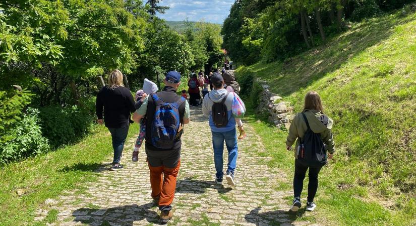 Kutyával, babakocsival vágtak neki a bátrak a bakonyi kihívásnak (képgaléria, videó)