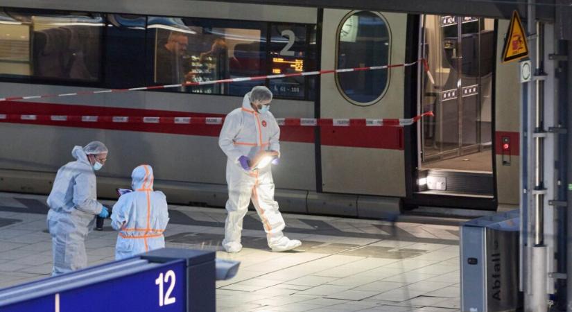 A támadás előtti napon engedték ki a pszichiátriáról a nőt, aki a hamburgi pályaudvaron késelt