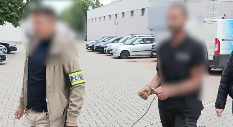Kukákba kerültek a kivégzett kiskutyák